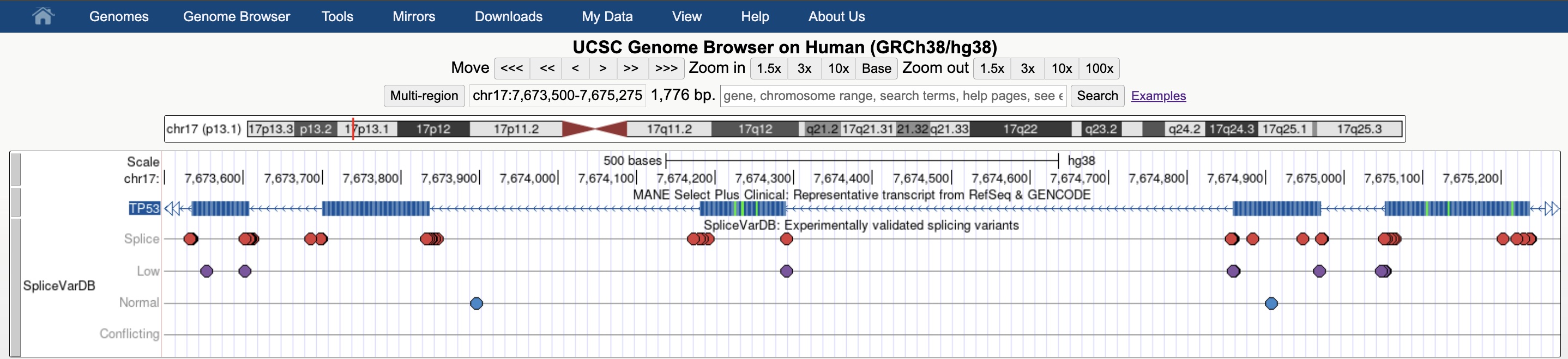 hg38 session
  visualizing the SpliceVarDB track