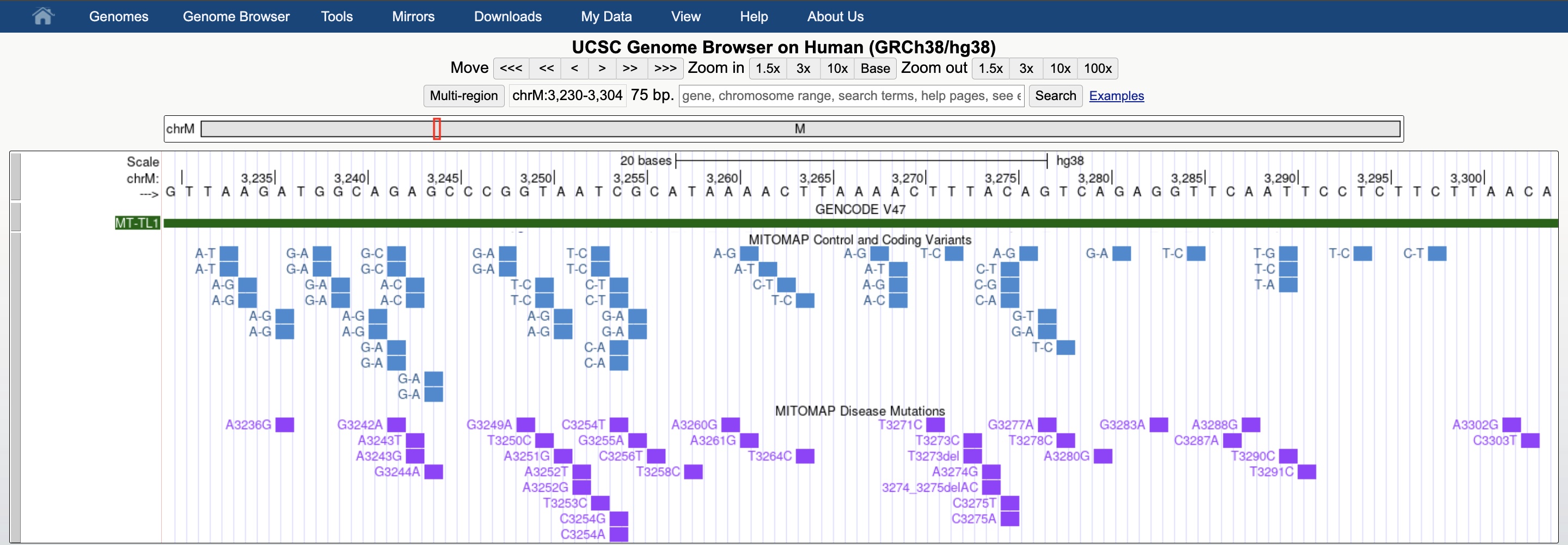 hg38 session
  visualizing the MITOMAP track